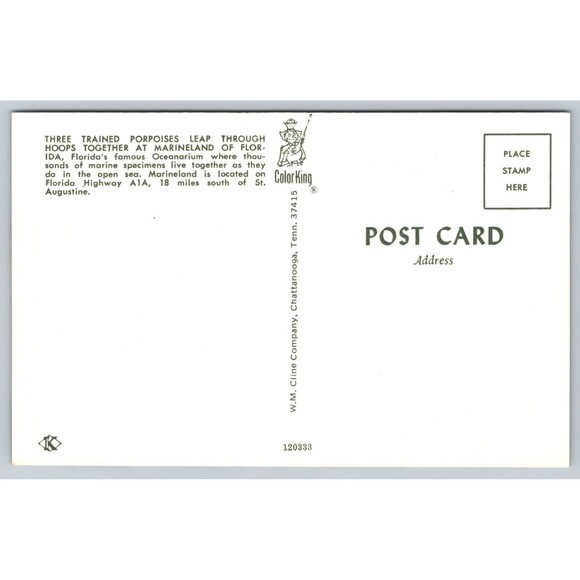 Postcard Florida St. Augustine Marineland Three Porpoises Dolphins Oceanarium FL - Picture 2 of 2